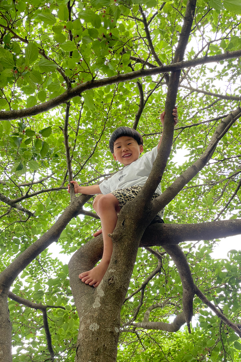 4歳 準グランプリ