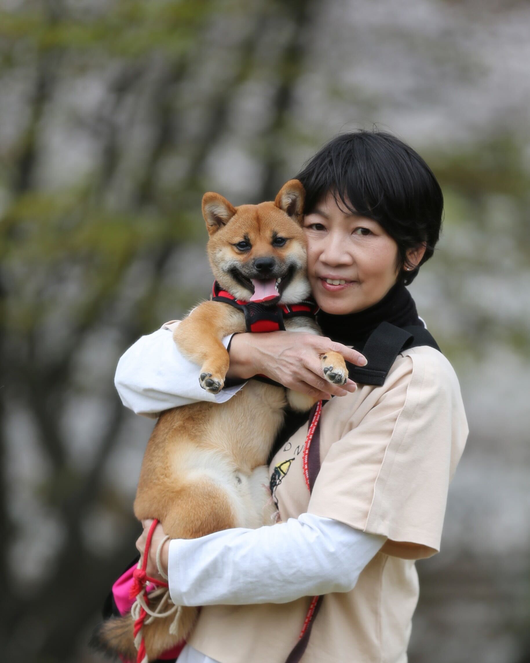 限られた人員で実現する新たな撮影体制と継続的な写真提供